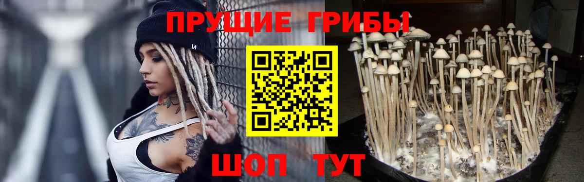Галлюциногенные грибы мицелий Москва