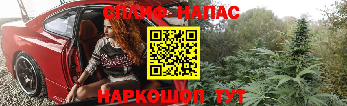 Москва  Марихуана план  Шишки марихуана планчик  Вход с VPN  Бошки марихуана OG Kush 